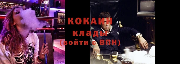 стафф Зеленокумск