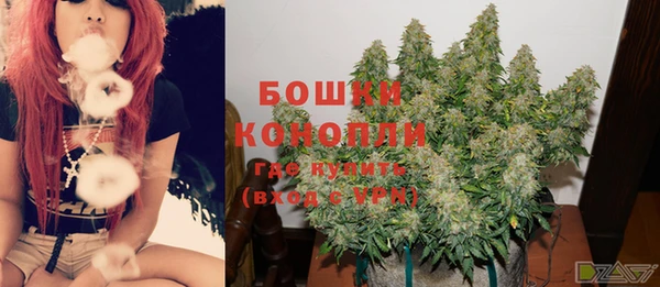 прущие грибы Костерёво