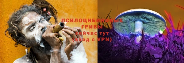 ГАЛЛЮЦИНОГЕННЫЕ ГРИБЫ Зеленодольск